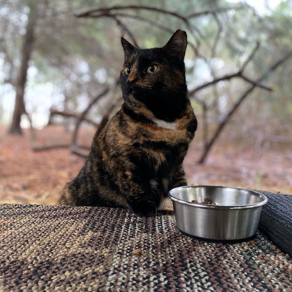 Meet your Posher, Gilda - Picture 8 of 10